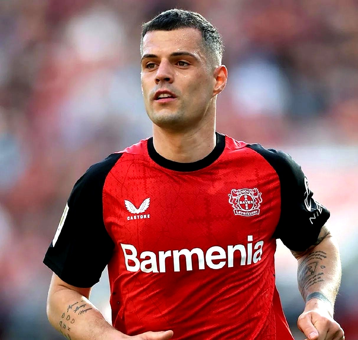 包含转会期纽卡斯尔备战荷甲，官宣签约细节曝光，态度坚定，年轻球员得到机会的词条-九游娱乐