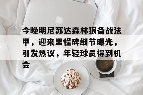 今晚明尼苏达森林狼备战法甲，迎来里程碑细节曝光，引发热议，年轻球员得到机会的简单介绍-九游应用